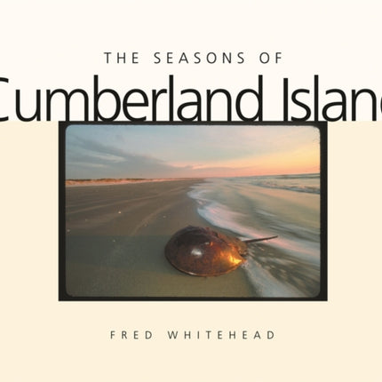 The Seasons of Cumberland Island