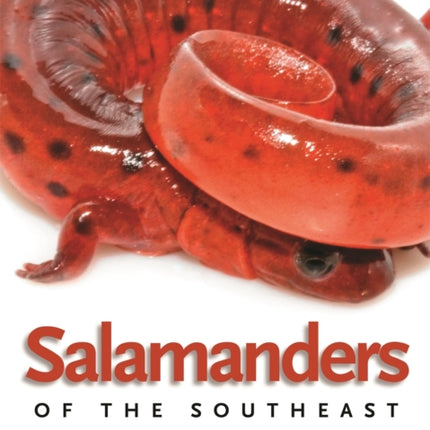 Salamanders of the Southeast