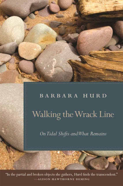 Walking the Wrack Line On Tidal Shifts and What Remains