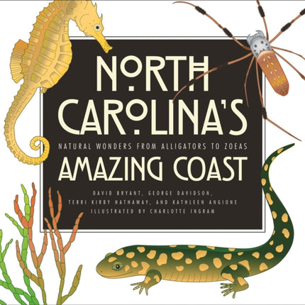 North Carolinas Amazing Coast  Natural Wonders
