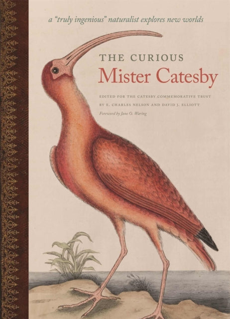 The Curious Mister Catesby: A ""Truly Ingenious"" Naturalist Explores New Worlds