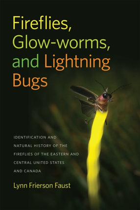 Fireflies Glowworms and Lightning Bugs