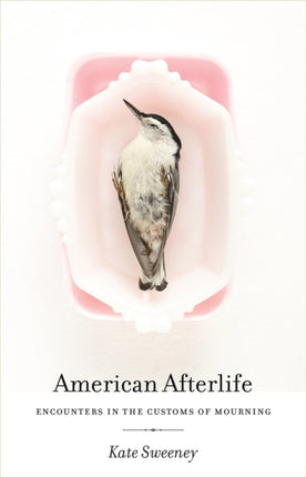 American Afterlife  Encounters in the Customs of