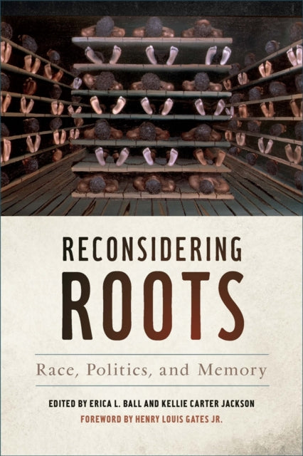 Reconsidering Roots  Race Politics and Memory