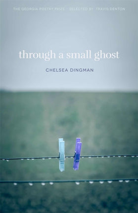 Through a Small Ghost  Poems