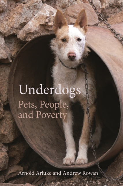 Underdogs  Pets People and Poverty