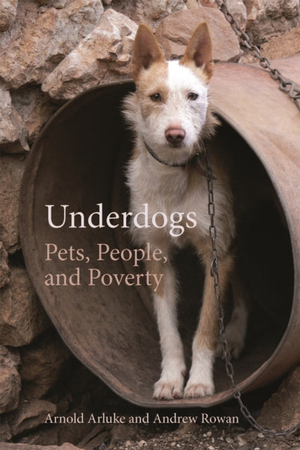 Underdogs  Pets People and Poverty