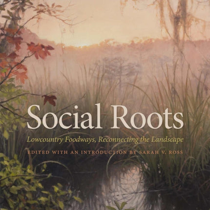 Social Roots  Lowcountry Foodways Reconnecting