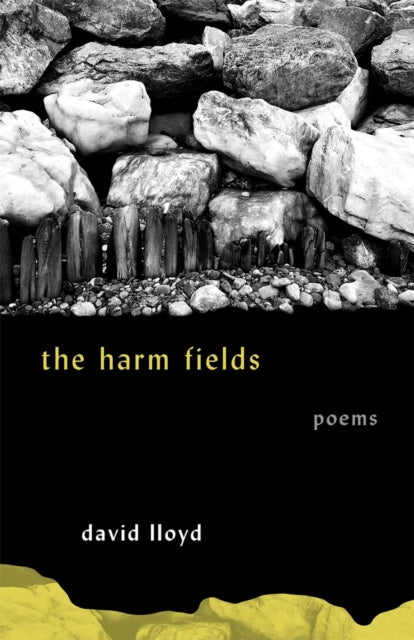 The Harm Fields