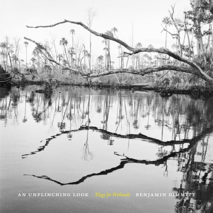 An Unflinching Look  Elegy for Wetlands