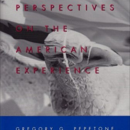 Gothic Perspectives on the American Experience