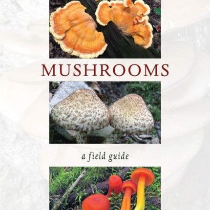 Appalachian Mushrooms: A Field Guide