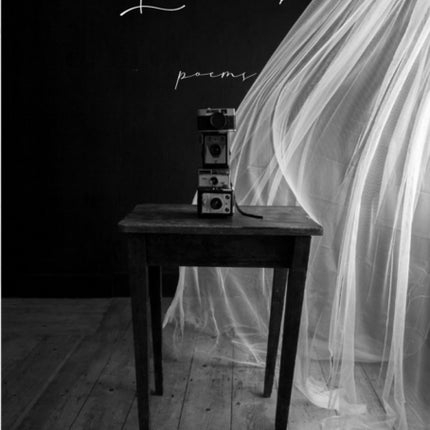 Larks  Poems