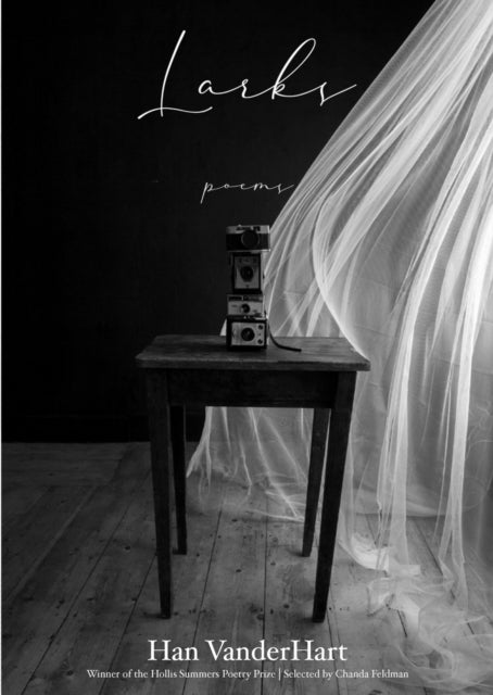 Larks  Poems