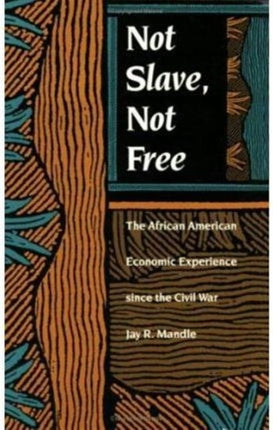 Not Slave, Not Free: The African American Economic Experience Since the Civil War