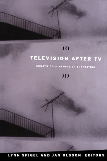 Television after TV: Essays on a Medium in Transition