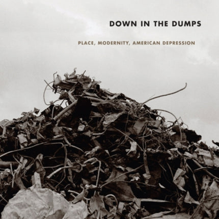 Down in the Dumps: Place, Modernity, American Depression