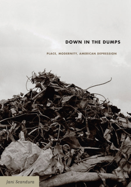 Down in the Dumps: Place, Modernity, American Depression