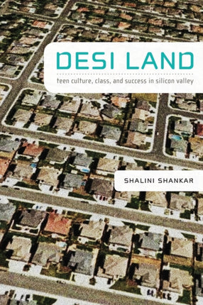 Desi Land: Teen Culture, Class, and Success in Silicon Valley