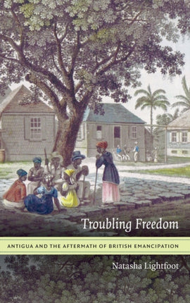 Troubling Freedom: Antigua and the Aftermath of British Emancipation