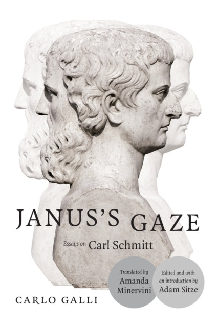 Janus's Gaze: Essays on Carl Schmitt