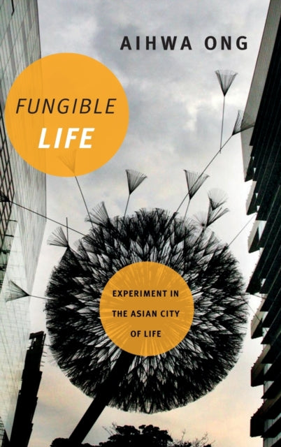 Fungible Life: Experiment in the Asian City of Life