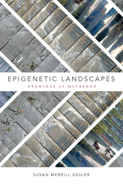 Epigenetic Landscapes: Drawings as Metaphor