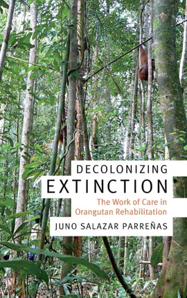 Decolonizing Extinction: The Work of Care in Orangutan Rehabilitation