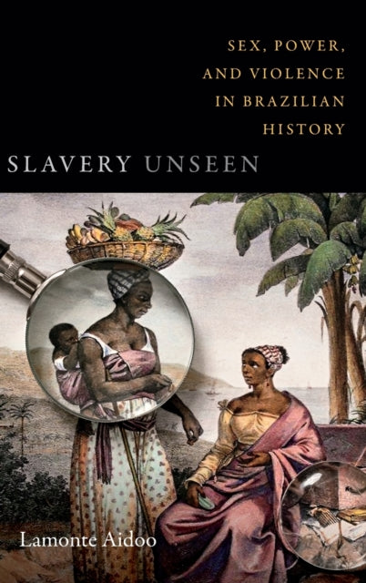 Slavery Unseen: Sex, Power, and Violence in Brazilian History