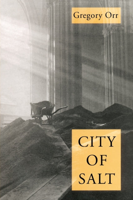 City Of Salt Pitt Poetry Series