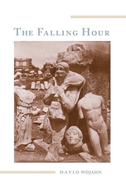 Falling Hour The Pitt Poetry Series
