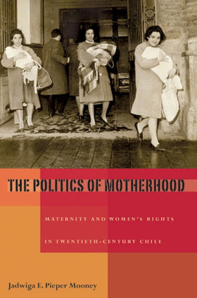 Politics of Motherhood The