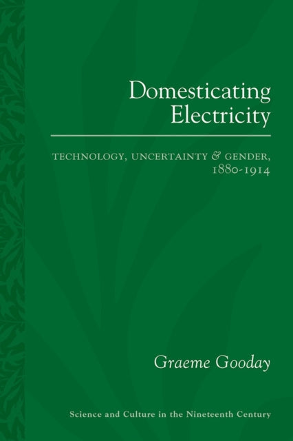 Domesticating Electricity