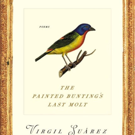The Painted Buntings Last Molt