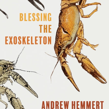 Blessing the Exoskeleton