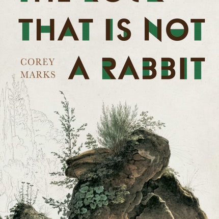 The Rock That is Not a Rabbit: Poems