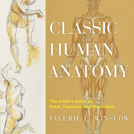 Classic Human Anatomy