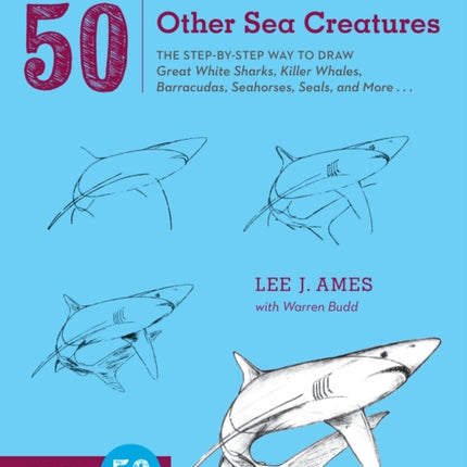 Draw 50 Sharks, Whales, and Other Sea Creatures