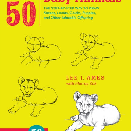 Draw 50 Baby Animals