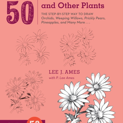 Draw 50 Flowers, Trees, and Other Plants