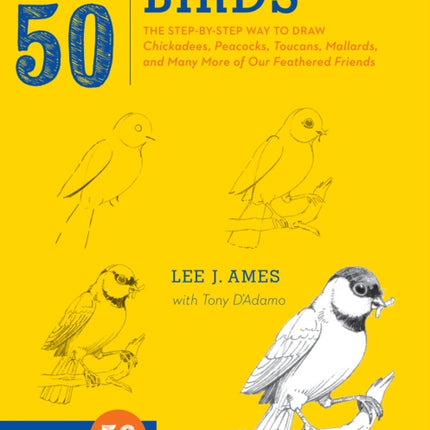 Draw 50 Birds