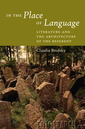 In the Place of Language: Literature and the Architecture of the Referent