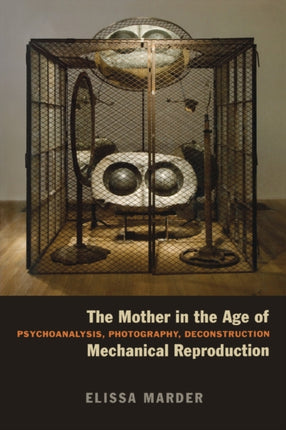 The Mother in the Age of Mechanical Reproduction: Psychoanalysis, Photography, Deconstruction