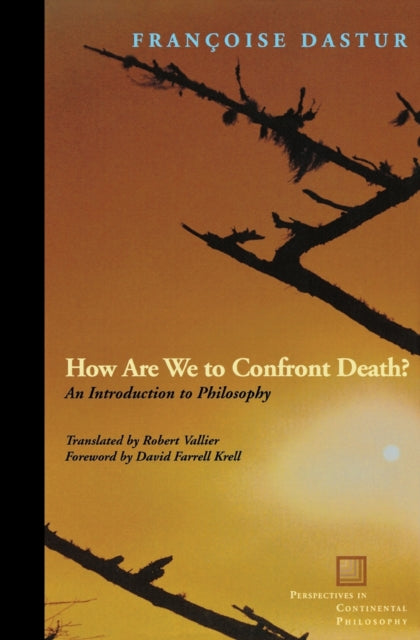 How Are We to Confront Death?: An Introduction to Philosophy