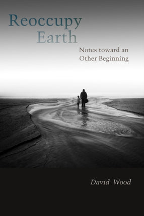 Reoccupy Earth: Notes toward an Other Beginning