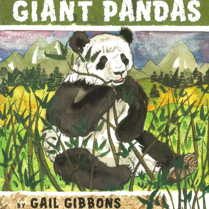 Giant Pandas