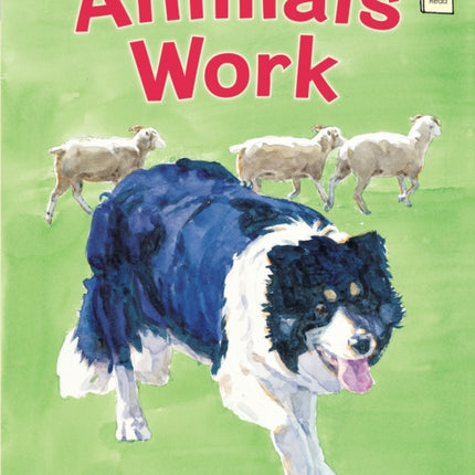 Animals Work