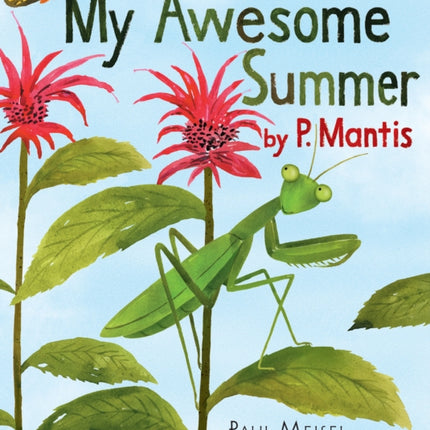 My Awesome Summer by P. Mantis