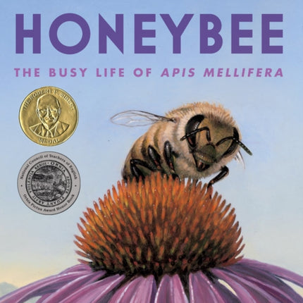 Honeybee: The Busy Life of Apis Mellifera