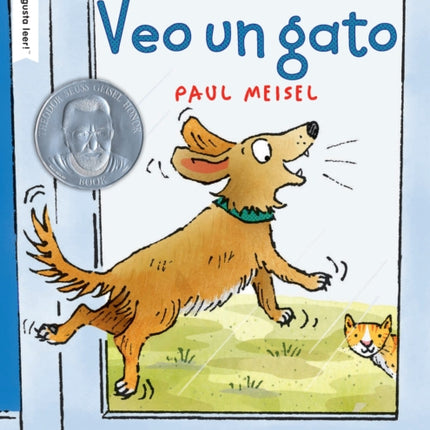 Veo un gato